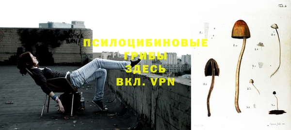 ECSTASY Алексеевка
