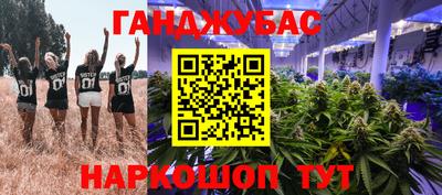 круглые Тавда