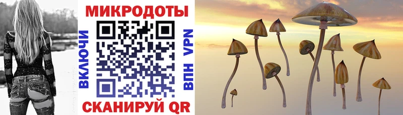 закладки  Сухой Лог  Псилоцибиновые грибы прущие грибы 