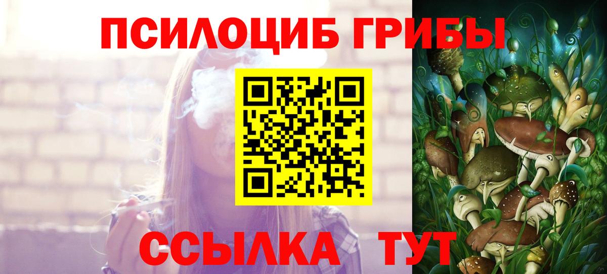 Псилоцибиновые грибы GOLDEN TEACHER  Вход с VPN  Сухой Лог 