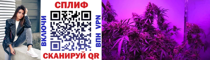 hydra ссылки  Сухой Лог  Канабис план 
